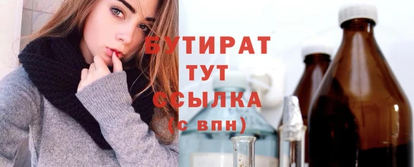 индика Аркадак