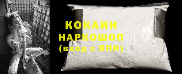 индика Аркадак