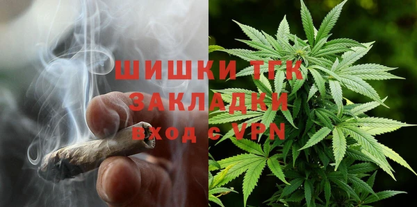 трава Арсеньев